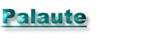 Palaute
